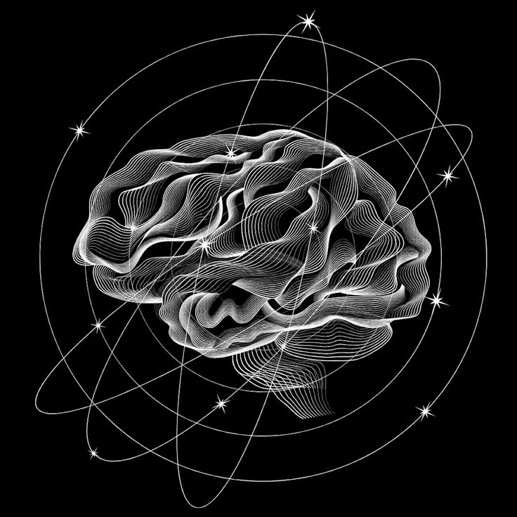 Inteligencia macro y mente